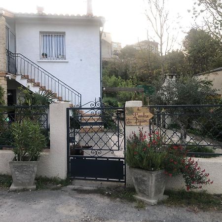 Bienvenue « A L'Ombre Du Figuier » Apartment Pieusse ภายนอก รูปภาพ