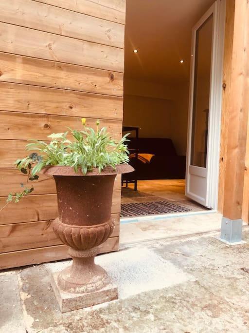 Bienvenue « A L'Ombre Du Figuier » Apartment Pieusse ภายนอก รูปภาพ